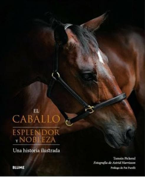 EL CABALLO - ESPLENDOR Y NOBLEZA