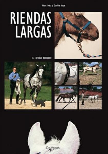 RIENDAS LARGAS EL ENFOQUE ADECUADO