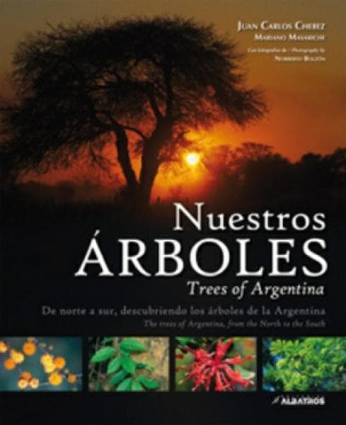 NUESTROS ARBOLES