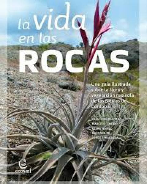 LA VIDA EN LAS ROCAS