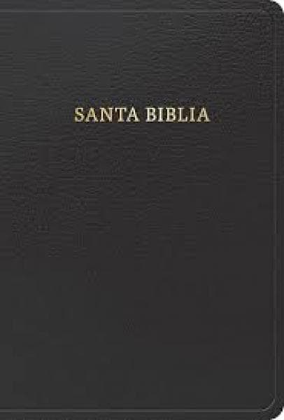 BIBLIA REINA VALERA 1960 NEGRA