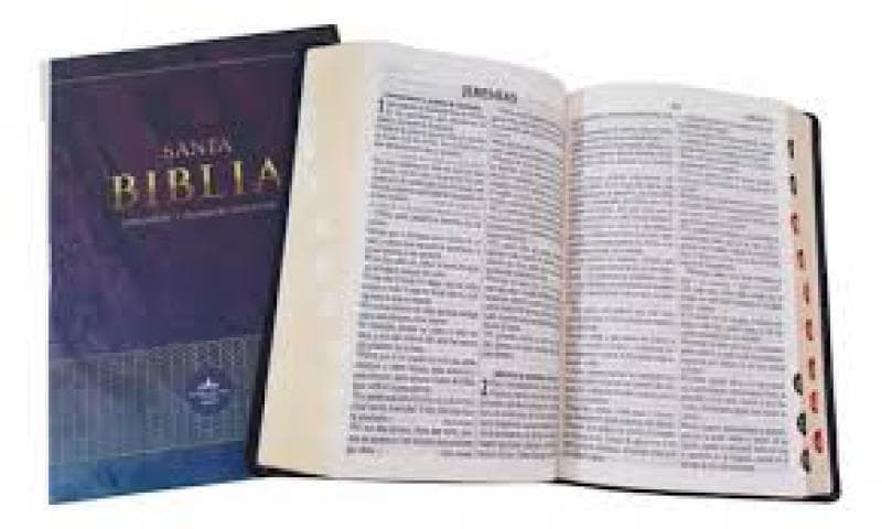 SANTA BIBLIA - LETRA GRANDE - TAPA CUERO