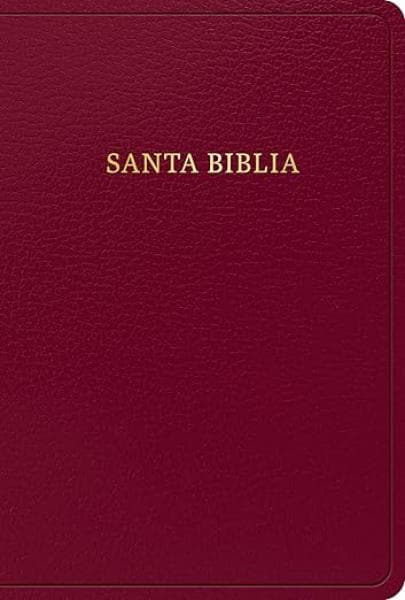 BIBLIA REINA VALERA 1960 BORGONA