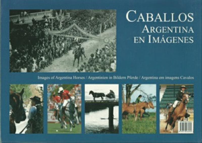 CABALLOS EN ACCION