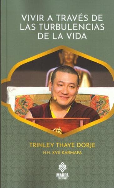VIVIR A TRAVES DE LAS TURBULENCIAS...