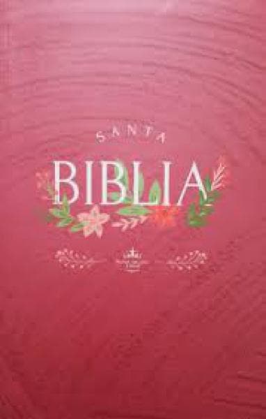 SANTA BIBLIA REINA-VALERA 1960 TAPA ...