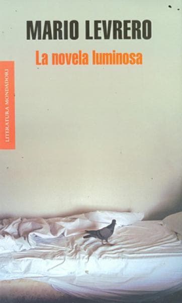 LA NOVELA LUMINOSA