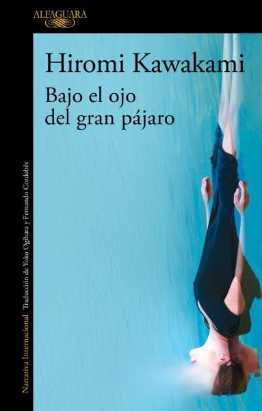 BAJO EL OJO DEL PAJARO