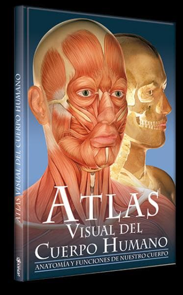 ATLAS VISUAL DEL CUERPO HUMANO