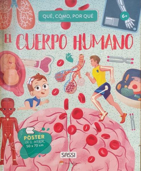 EL CUERPO HUMANO